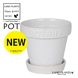 BOTANYS 퐻 Aؔ 3TCYizCgj Aؔ  Jo[ |bg {^j[|bg BOTANY POT 3 DULTON BOTANYG21-0395XS/WH