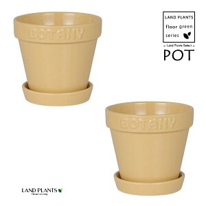 BOTANYS 퐻 Aؔ 4TCYix[Wj2 Aؔ  Jo[ |bg BOTANY POT 4 DULTON BOTANYG21-0395S/BE