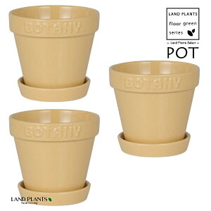 BOTANYS 퐻 Aؔ 4TCYix[Wj3 Aؔ  Jo[ |bg BOTANY POT 4 DULTON BOTANYG21-0395S/BE