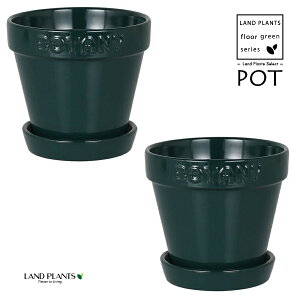BOTANYS 퐻 Aؔ 4TCYiO[j2 Aؔ  Jo[ |bg BOTANY POT 4 DULTON BOTANYG21-0395S/GR