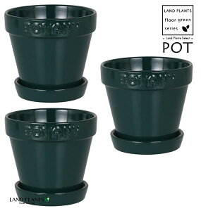 BOTANY���S�� ���퐻 �A�ؔ� 4���T�C�Y�i�O���[���j3�� �A�ؔ� �� ���J�o�[ �|�b�g BOTANY POT 4 DULTON BOTANYG21-0395S/GR