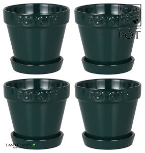 BOTANYS 퐻 Aؔ 4TCYiO[j4 Aؔ  Jo[ |bg BOTANY POT 4 DULTON BOTANYG21-0395S/GR