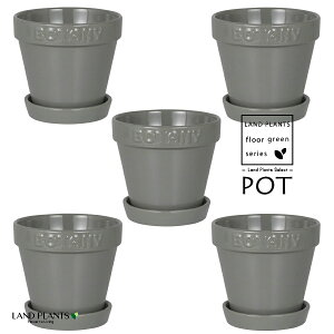 BOTANYS 퐻 Aؔ 4TCYiO[j5 Aؔ  Jo[ |bg BOTANY POT 4 DULTON BOTANYG21-0395S/GY