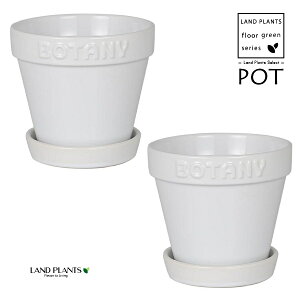 BOTANYS 퐻 Aؔ 4TCYizCgj2 Aؔ  Jo[ |bg BOTANY POT 4 DULTON BOTANYG21-0395S/WH