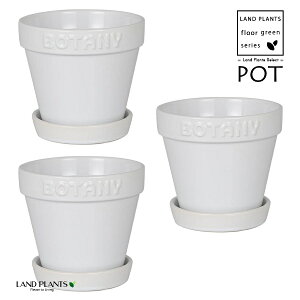 BOTANYS 퐻 Aؔ 4TCYizCgj3 Aؔ  Jo[ |bg BOTANY POT 4 DULTON BOTANYG21-0395S/WH