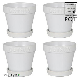 BOTANYS 퐻 Aؔ 4TCYizCgj4 Aؔ  Jo[ |bg BOTANY POT 4 DULTON BOTANYG21-0395S/WH
