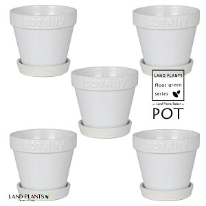 BOTANYS 퐻 Aؔ 4TCYizCgj5 Aؔ  Jo[ |bg BOTANY POT 4 DULTON BOTANYG21-0395S/WH