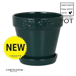 BOTANYS 퐻 Aؔ 5TCYiO[j Aؔ  Jo[ |bg {^j[|bg BOTANY POT 5 DULTON BOTANYG21-0395M/GR