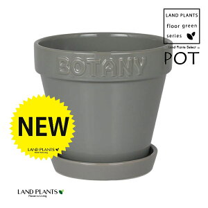BOTANYS 퐻 Aؔ 5TCYiO[j Aؔ  Jo[ |bg {^j[|bg BOTANY POT 5 DULTON BOTANYG21-0395M/GY