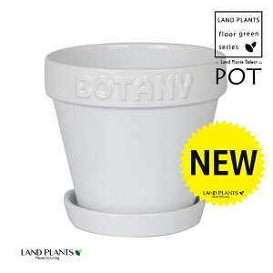BOTANYS 퐻 Aؔ 5TCYizCgj Aؔ  Jo[ |bg {^j[|bg BOTANY POT 5 DULTON BOTANYG21-0395M/WH