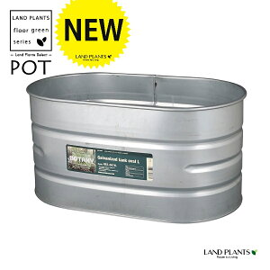 KoiCYhX`[ ^N^ I[o^ iLTCYF1j Aؔ  Jo[ |bg  r v[ hʕC IVC h hЗpi KoiCYh ^N I[o GALVA