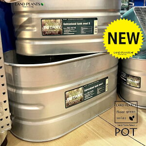 KoiCYhX`[ ^N^ I[o^ iLTCYF1j Aؔ  Jo[ |bg  r v[ hʕC IVC h hЗpi KoiCYh ^N I[o GALVA