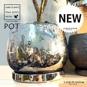 N ~[H{ 퐻 Aؔ 1 Aؔ  |bg N[ N bL 