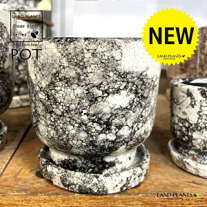 Cou A͗l 픫 F 1iMTCYj Aؔ  |bg tnavuiarara