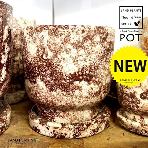 Cou A͗l 픫 F 1iMTCYj Aؔ  |bg tnavuiarara