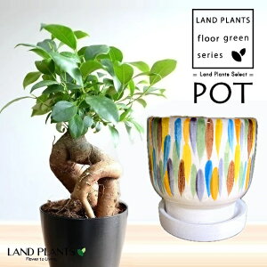 KW}ij A[g M͗l̃Jt 픫 1iLTCYj y΁EMz ̖ K̖ LWi[ ܂ Ficus microcarpa