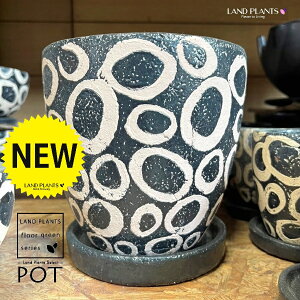 A[g Cg͗l 픫 1iLTCYjAؔ  |bg tnavuiarara