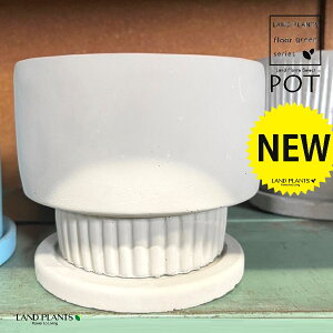 dグ it 픫 1 Aؔ  |bg POT