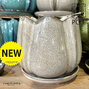 `[bv^ 픫 F 1 Aؔ  |bg POT