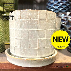 UCN 픫 x[W 1 Aؔ  |bg POT