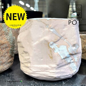 q̗l B` 픫 sN 1 Aؔ  |bg POT