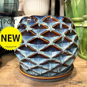 ʑ ֖ 픫 zCg 1 Aؔ  |bg POT