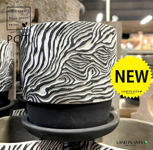 �[�u���� �i�t�� ���픫 1�� �A�ؔ� �� �|�b�g POT