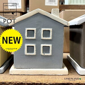 nEX^ 픫 F 1 Aؔ  |bg POT