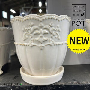 [bp AeB[N 픫 1 Aؔ  |bg