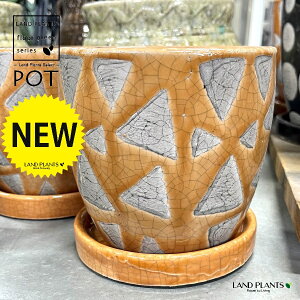 gCAO F ֖ 픫 1iSTCYj Aؔ  |bg