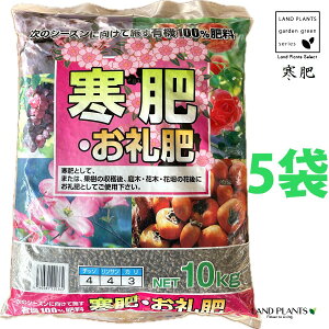 E 10kg i5܁j iL@100FԉʎEؐpj  삦 JSG 삦 엿 ǔ Ĕ H  xL@엿 엿