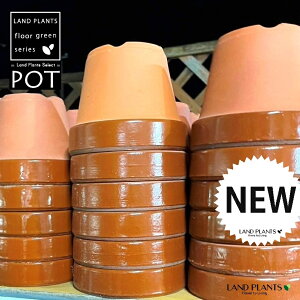 ̂Ȃ ʉ 4 [^ 1 Aؔ  |bg 픫 fĔ