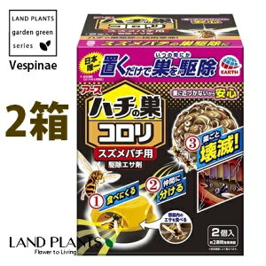 n`̑RiXYo`pj 쏜GT 2i2j u ݂邵 I n` ͂ XYo` IIXYo` AViKo` N}o` Vespinae A[X A[X