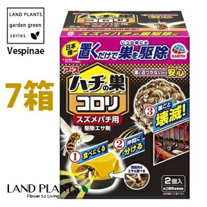 n`̑RiXYo`pj 쏜GT 2i7j u ݂邵 I n` ͂ XYo` IIXYo` AViKo` N}o` Vespinae A[X A[X