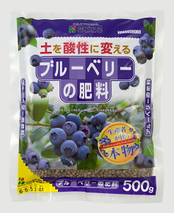 �u���[�x���[�̔엿�@500g�@�i4�܁j
