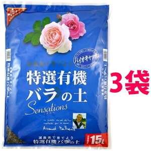 IL@o̓y@Sensations@15L i3܁j