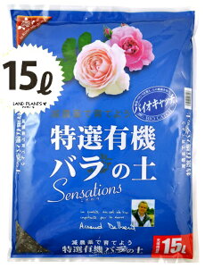 IL@o̓y@Sensations@15L i1܁j