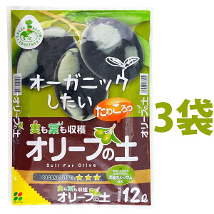 I[u̓y 12L i3܁j iJVEEԋʓyERRibct@Co[ zj