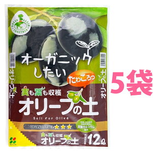 I[u̓y 12L i5܁j iJVEEԋʓyERRibct@Co[ zj