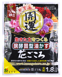 ���y�Ō^�������@�Ԃ�����`�J�^�` �嗱�@1.8kg ������ ���� �A�u���J�X