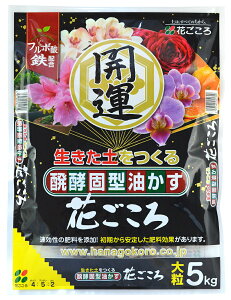 yŌ^@Ԃ`J^` 嗱@5kg   AuJX