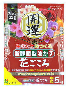 yŌ^@Ԃ`J^`@@5kg   AuJX