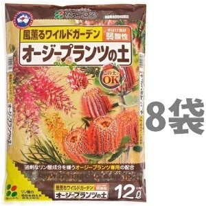 I[W[vc̓y@12L i8܁jiO郏ChK[fjOG PLANTS Ԃ