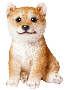 ̒u iČFVoCkqj Ck 14076 Vo  VoP ăCk q }Vo  hbOI[ig I[ig  Aj} }XRbg K[f K[fjO K[f