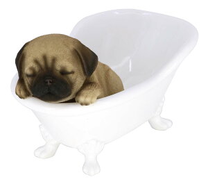 hbOI[ig pOioX^uj 14241