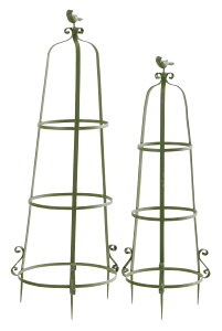 y2Zbgz IxXN EiA̎xj yFa36cm×100cmz81757 yFa30cm×85cmz81758 ^[  x  K[f K[fjO  |  O[ S ACA