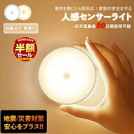 ＼スーパーSALE開催予定！ありがとう月間MVP！850円でゲット！／人感センサーライト センサーライト 2個…