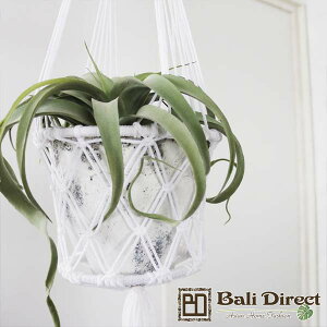 yAEgbgzAWAG nMOv^[ ݂艺 vgnK[ zCg }N {w~A Z920511E Bali Direct