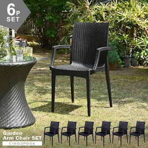 6脚セット ガーデンチェア 屋外 肘掛け アウトドア バーベキュー キャンプ ガーデン 庭 ラタンチェア テラス 黒 ブラック ダイニングチェア 椅子 パーソナルチェア 北欧 西海岸 籐ラタン風