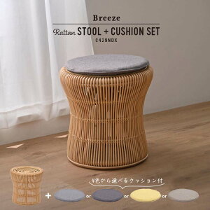 Xc[ NbVt | CX ֎q   ^ ؐ CeA  NbV BREEZE u[Y _ i` k JtF X[Ct 炬 炵 Eh a 